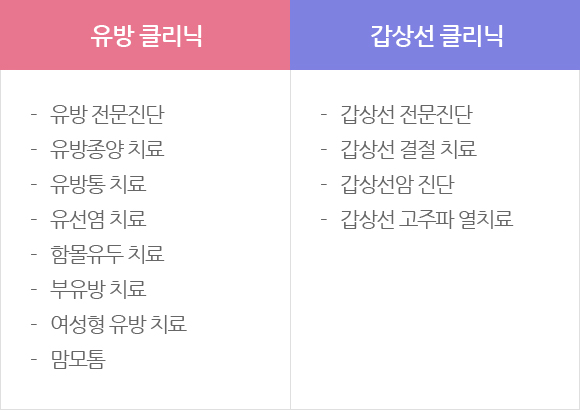 진료과목