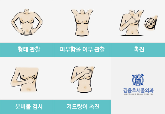 유방암 자가진단